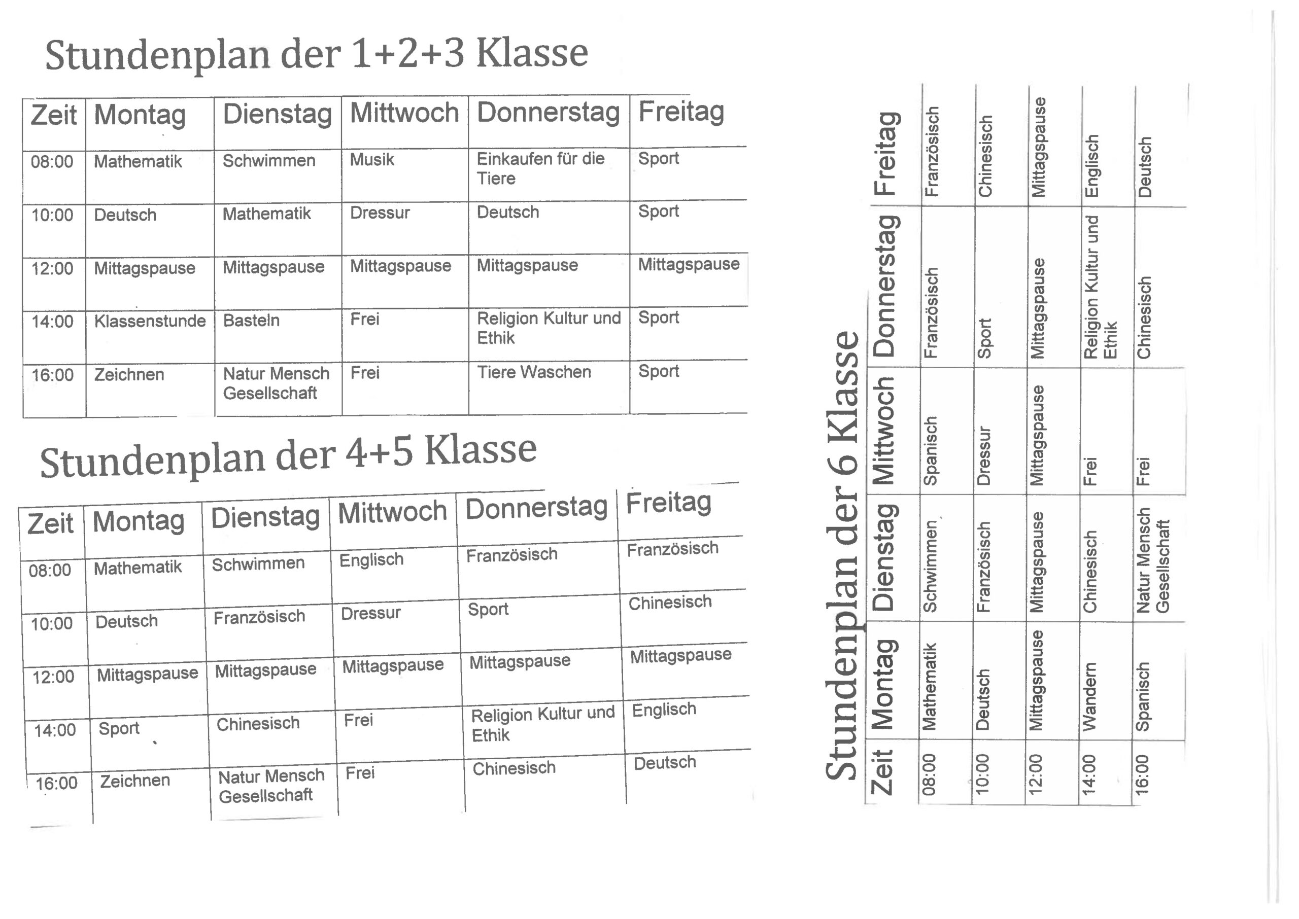 Tierschule Pfötchen (Bilderbuch)_Page_7